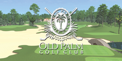 Old Palm